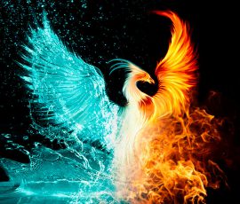 phoenix